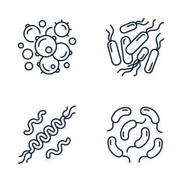 Set of four outline icons depicting different types of bacteria and microorganisms.