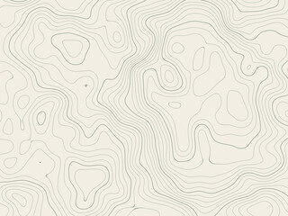 Topographic map line background, abstract vector line contour grid, minimalist terrain height elevation texture for graphic design © Muhammad