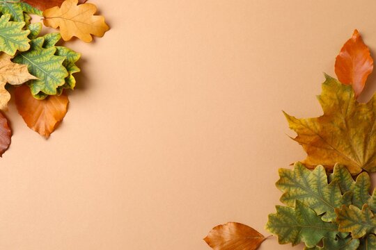 Autumn leaves on beige background. Autumn season frame