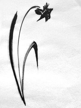 single flower drawn in ink on washi paper, hand-drawn flower illustration with brush strokes, minimalist Japanese-style floral drawing