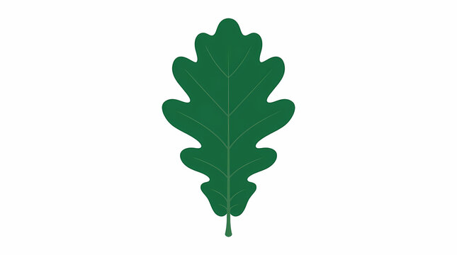 Minimal Oak Leaf Vector Icon Isolated on White Background