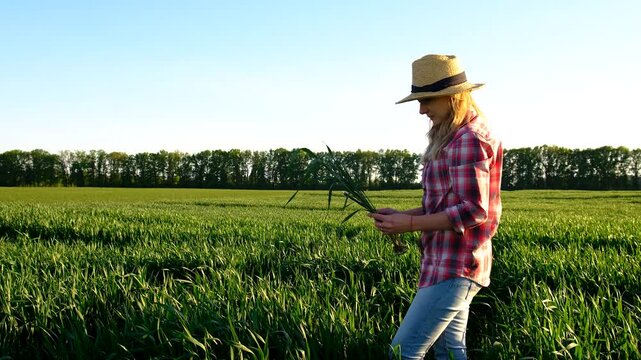 Farmer in the field. Selective focus.