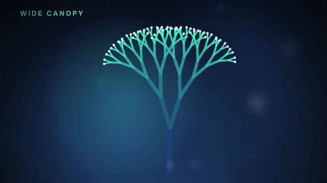 Recursive branching tree opens a wide canopy