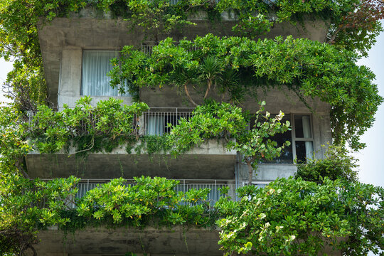 Building with lush green vertical gardens in city, eco-friendly house filled with exotic greenery, apartment building with growing plants cascading from outdoor balconies, sustainable living design.
