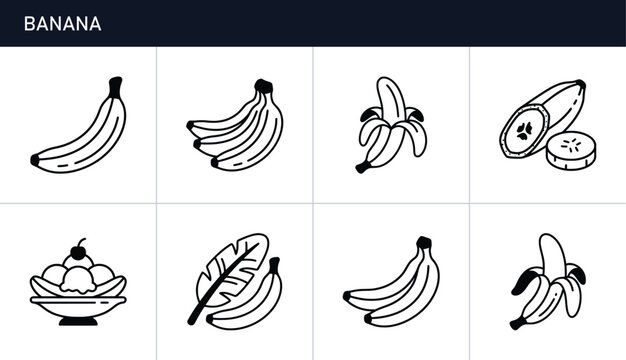 Banana icons set with whole fruits, peeled fruit and banana split for food and recipe design