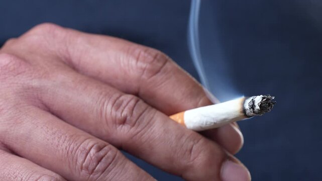 Cigarettes are harmful to the health of children and pregnant women	
