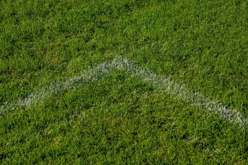 Football soccer pitch markings © Photomyself