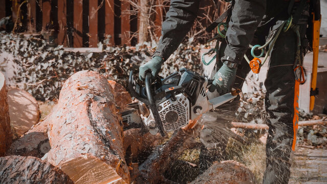 Person in work gear cutting stacked logs with a chainsaw outdoors.