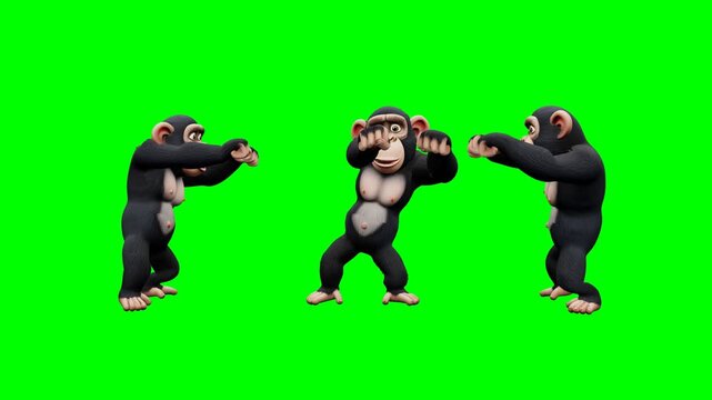 Funny chimpanzee performing a silly dance on green screen. 4K Video