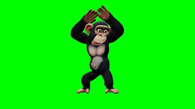 Chimpanzee performing a rhythmic snake dance on a green screen. 4K Video