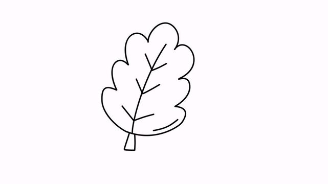 oak leaf outline