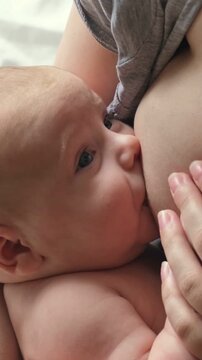 Vertical video of mother breastfeeding her newborn daughter closeup view, female breast feeding hungry two-month infant baby girl, lactation support, Maternal health, postpartum and counseling concept