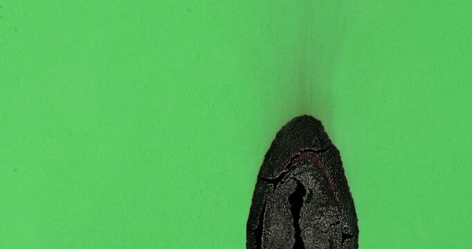Green Paper Smoldering Against Black Background. Green paper chars and smolders against black background shown in macro detail. Burning sheet develops dark curling edges with subtle ember glow.