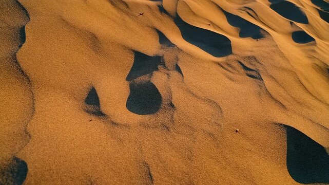 Desert sand glows in yellow sunset tones in a close shot, revealing warm texture and natural detail.
