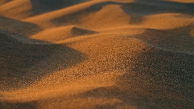 A close-up, slow-motion shot of a sandstorm in the desert, with the wind whipping up grains of sand.