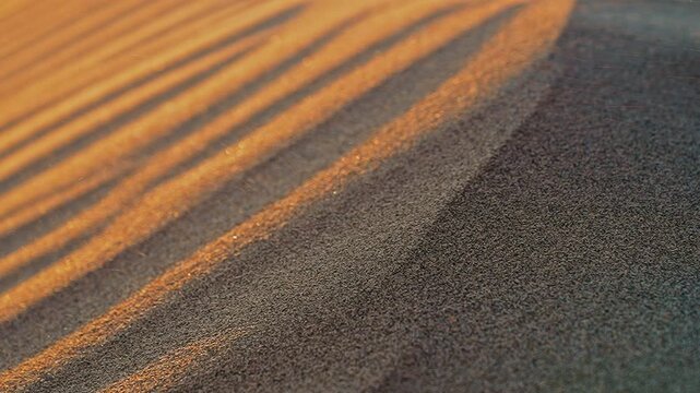 A slow-motion close-up video of sand grains being blown by the wind on a beach at sunset.