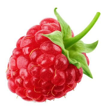Raspberry isolated, full depth of field