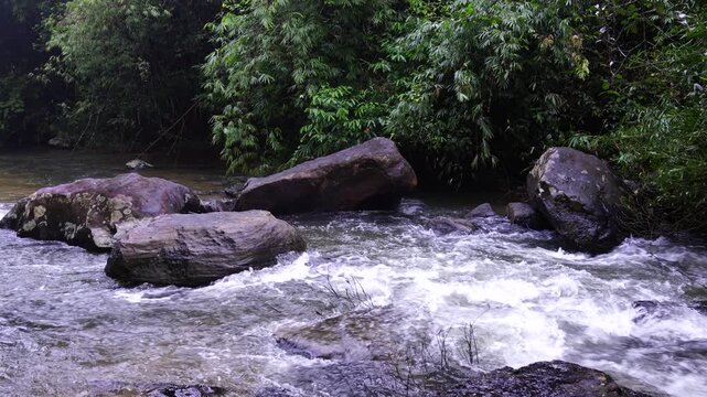 Whitewater Rapids Rushing Between Large Forest Rocks