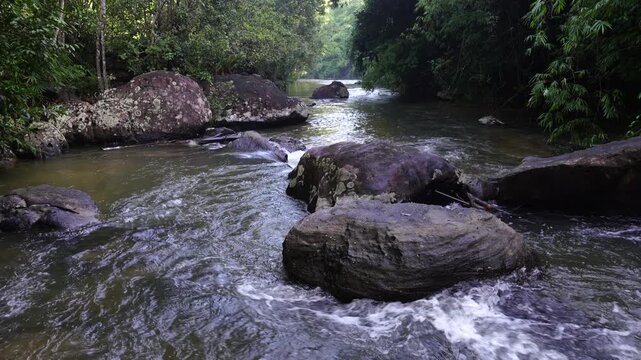 Forest River Winding Around Massive Natural Boulders