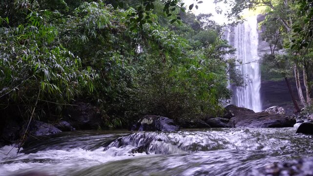 Tropical River Rapids with Tall Waterfall Beyond