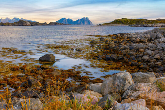 Title:
Rocky coastline and mountain scenery on the west coast of the Lofoten Islands, Norway