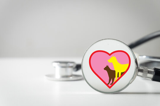 Close up of a medical stethoscope with a digital graphic overlay of a dog and cat inside a pink heart. Concept of veterinary medicine, pet health care, animal hospital, and love for pets.