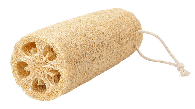 Natural loofah sponge with rope for exfoliating and skin care on a transparent background