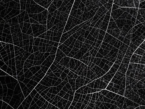 Damaged glass surface pattern design asset with spiderweb-like cracks