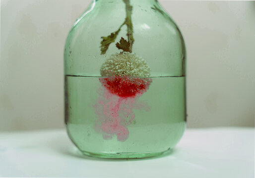 Red ink diffuse around flower in glass bottle underwater
