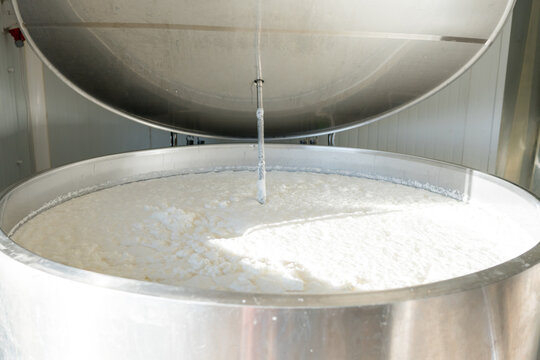 Cheese curd inside stainless steel production tank