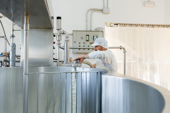 Cheesemaker operate pasteurizer in artisanal dairy factory