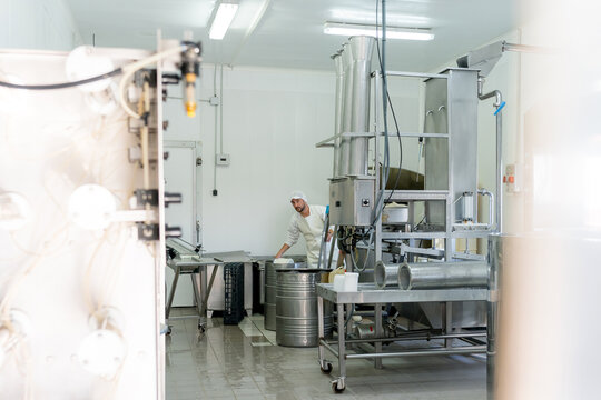 Cheesemaker operating equipment in artisanal dairy factory