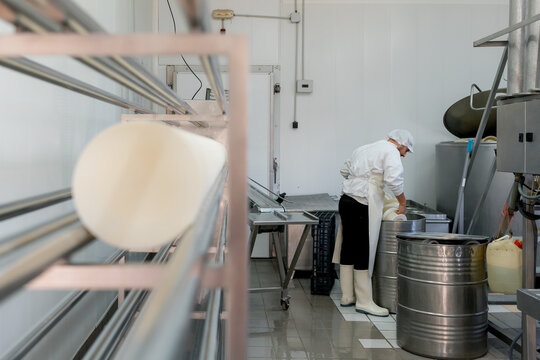 Cheese maker operate equipment in artisan dairy facility