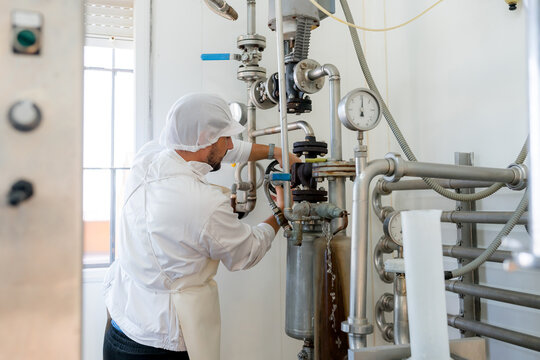 Cheese maker operate pasteurizer in dairy production plant