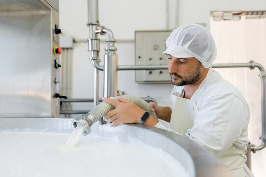 Dairy worker inspect milk transfer hose in cheese factory