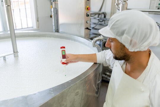 Cheesemaker use pH meter to test milk in dairy tank