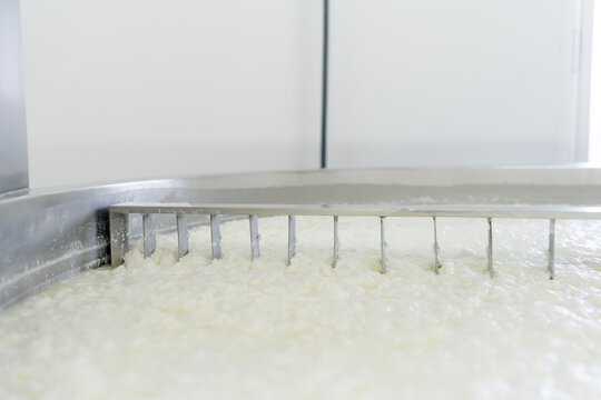 Cheese curd cutting machine in artisanal dairy production