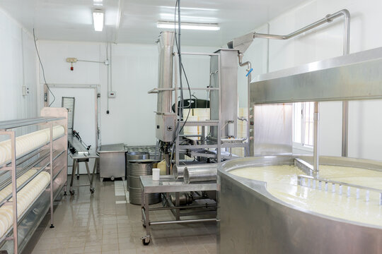 Cheese production equipment in an artisan dairy factory