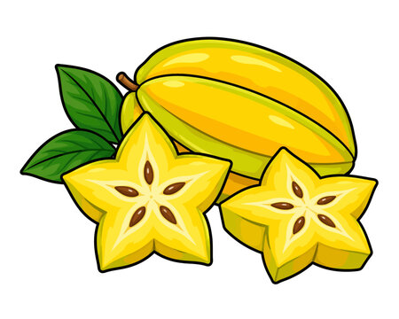 Starfruit Carambola Tropical Fruit Vector Illustration with Yellow Star Shaped Slices