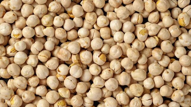 closeup of dry chickpea beans