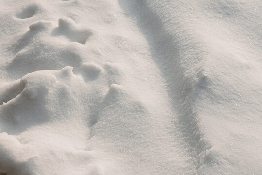Sparkling snowdrift texture in soft winter sunlight