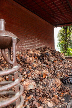Traditional mezcal production with roasted agave pinas