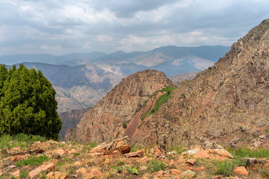 Steep rocky mountain spur with a juniper tree and orange stones in the foreground under cloudy skies, Western Tian Shan, Uzbekistan.
