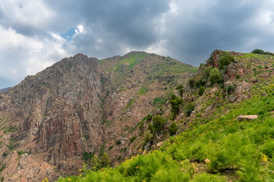 Steep rocky cliffs and a green flowering slope under forming thunderclouds in the Chatkal mountains, Uzbekistan.