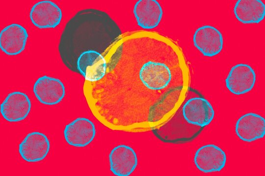 Abstract bokeh circles pattern on vivid red background