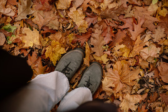 Person standing on fallen leaves in an autumn park