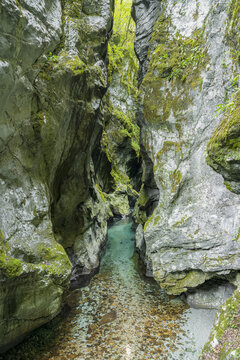 Mossy limestone gorge with clear stream in Slovenia