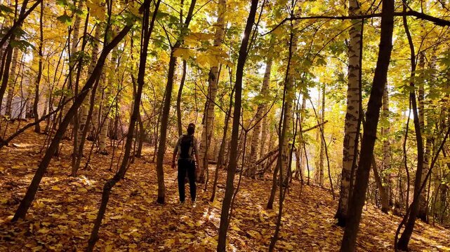 A lone man with a backpack walks down a slope through a dense autumn forest. Golden leaves cover the ground, and the sun filters through the trees