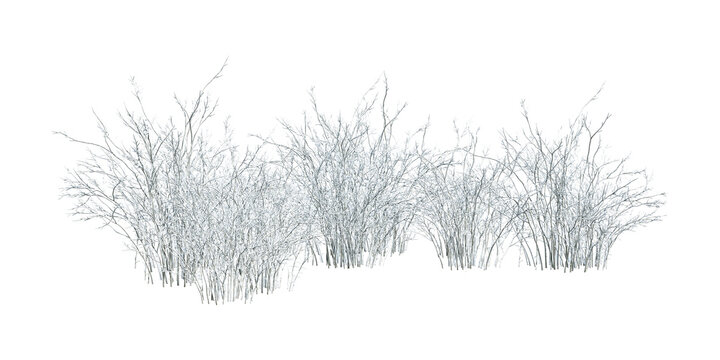 White snow covered winter bushes isolated on transparent background