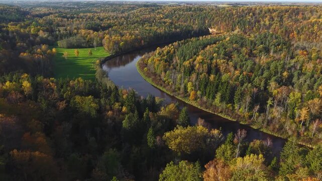 Aerial drone view of a winding river flowing through a dense forest with colorful autumn foliage in shades of gold, orange, yellow, and green.